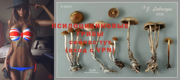 мескалин Балахна